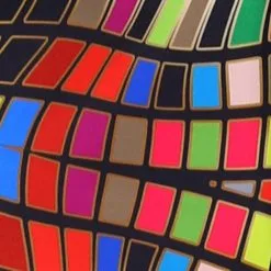 Overig Carnavalsjas Spectacular Pantone Voor Dames -Kostuum Winkel carnavalsjas spectacular pantone voor dames 3