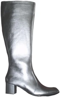 Overig Laarzen Metallic Zilver 3 Overig Laarzen Metallic Zilver