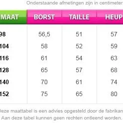 Overig Kinder Ruche Blouse Luxe Zilver -Kostuum Winkel maattabel 23